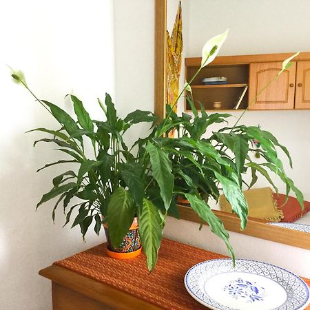Apartament Casa De Amig@S En Santa Cruz De La Palma Santa Cruz de la Palma  Zewnętrze zdjęcie