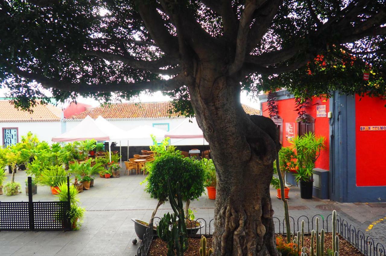 Apartament Casa De Amig@S En Santa Cruz De La Palma Santa Cruz de la Palma  Zewnętrze zdjęcie